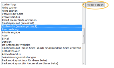 Felder zur Massenverarbeitung in TYPO3 setzen